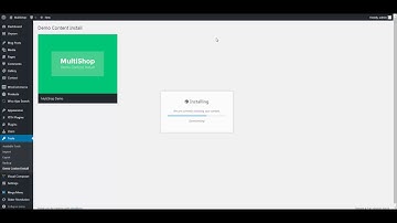 MultiShop - Universal WooCommerce Store Theme | Demo Installation