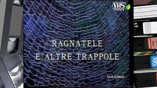 Il mondo di Quark - RAGNATELE E ALTRE TRAPPOLE