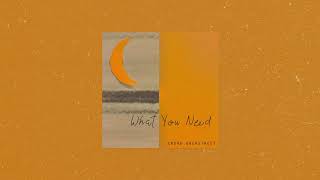 Video thumbnail of "What You Need (Audio)"