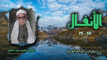 الشيخ محمود عبد الحكم | سورة الأنفال 55-75 | استوديو