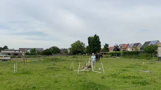 Trim 9D29Db6B C1D6 4E6E 9De2 96B521884D11