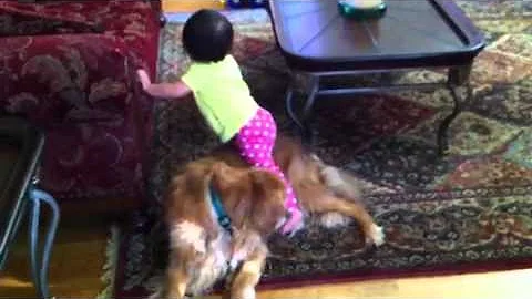 Anna's Trusty Steed