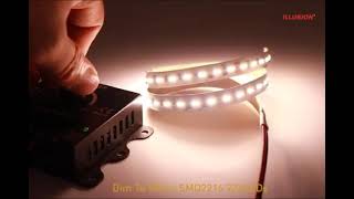 Dim To Warm Strip Light Bosun Mo