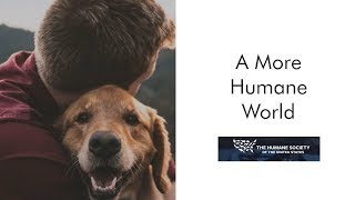 Humane Society Of The United States: A More Humane World