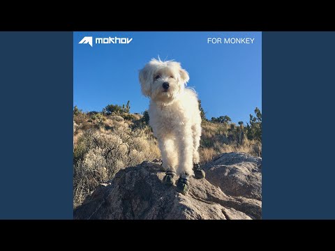 Music Video Preview