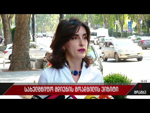 აშშ-ის სახელმწიფო მდივნის მოადგილის ვიზიტი - შეფასებები