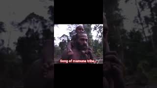 Song Of Mamuna Tribe Indonesia africa gaming gospel westpapua papua fypviral
