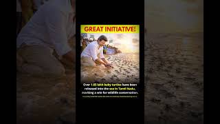 1.65 Lakh Olive Ridley Baby Turtles Return To The Ocean 🌊🐢💚 #vijaythalapathy