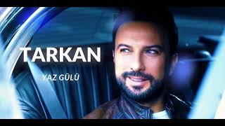 TARKAN - Yaz Gülü [AI] Resimi