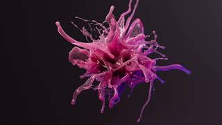 Fluid Explosion 3D Visual