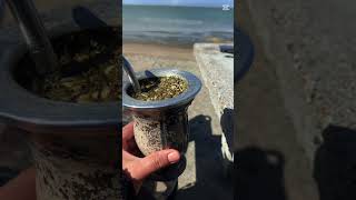 #mates#shorts#shirtsvideo#