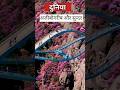 दुनिया की अजीबोगरीब सुन्दर जगह ? | most beautiful place |