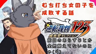 【逆転裁判123成歩堂龍一セレクション】むち打ち女の子を成敗する裁判【 VTuber　黒猫龍星 】
