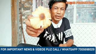 Popular Edible Mushrooms In West Jaintia Hills Meghalaya Pk28 Production