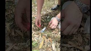 Future Keepers Sampling Protocol