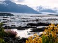 John Denver Alaska Songs