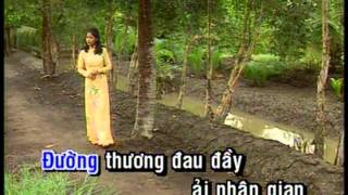Thoi Doi Karaoke Truong Vu