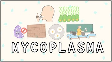 Mycoplasma: Morphology, Pathogenesis, Clinical features, Diagnosis, Treatment