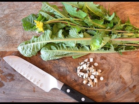 How to harvest, prepare, and use dandelion leaf and root for beauty and health