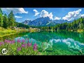 Чудесная целебная музыка для успокоения ума и снятия нервных расстройств🌿Позитивная энергия