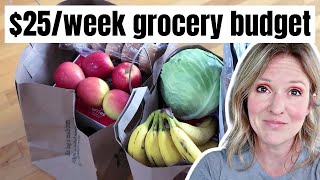 FEEDING A FAMILY ON $25 A WEEK | EXTREME GROCERY BUDGET CHALLENGE