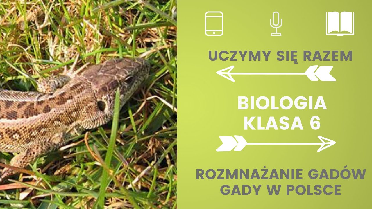 Biologia klasa 6. Rozmnażanie się gadów. Gady w Polsce. Uczymy się