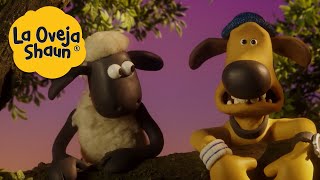 La Oveja Shaun 🐑 Atrapado en un árbol 🐑 Dibujos animados para niños