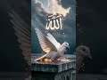 ya Ali Abbas