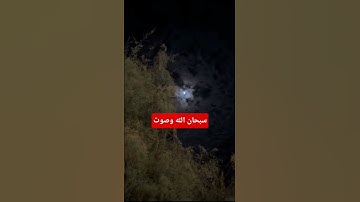 وقالو اتخذ الرحمن ولدا #تلاوة_خاشعة #قرآن #راحة_نفسية #اكسبلور #funny #متابعه #quran #explore #لايك