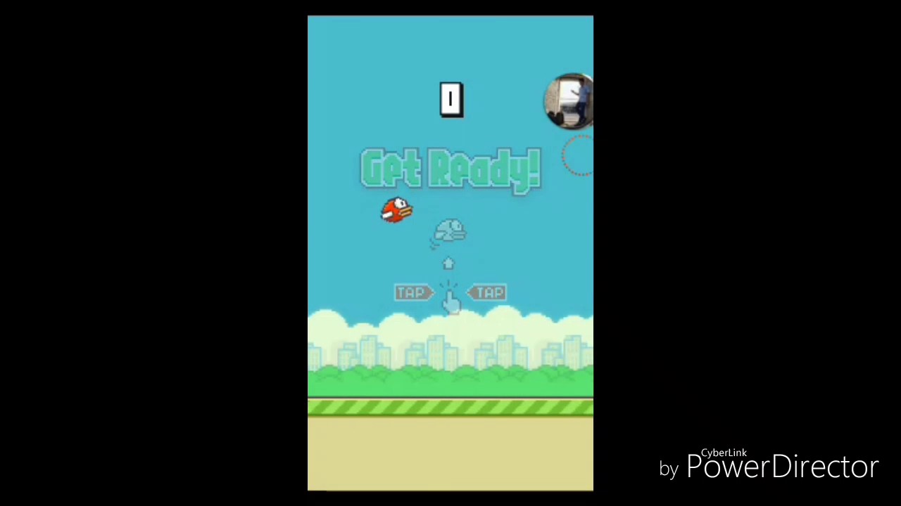 Can I get 20 points?|Flappy Bird gameplay