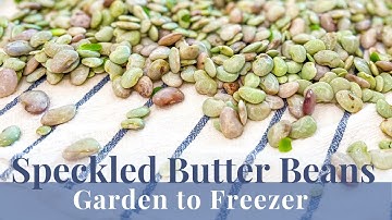SPECKLED BUTTER BEANS | Garden to Freezer