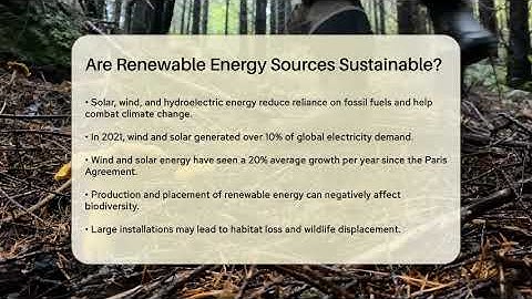 Are Renewable Energy Sources Sustainable? - Ecosystem Essentials