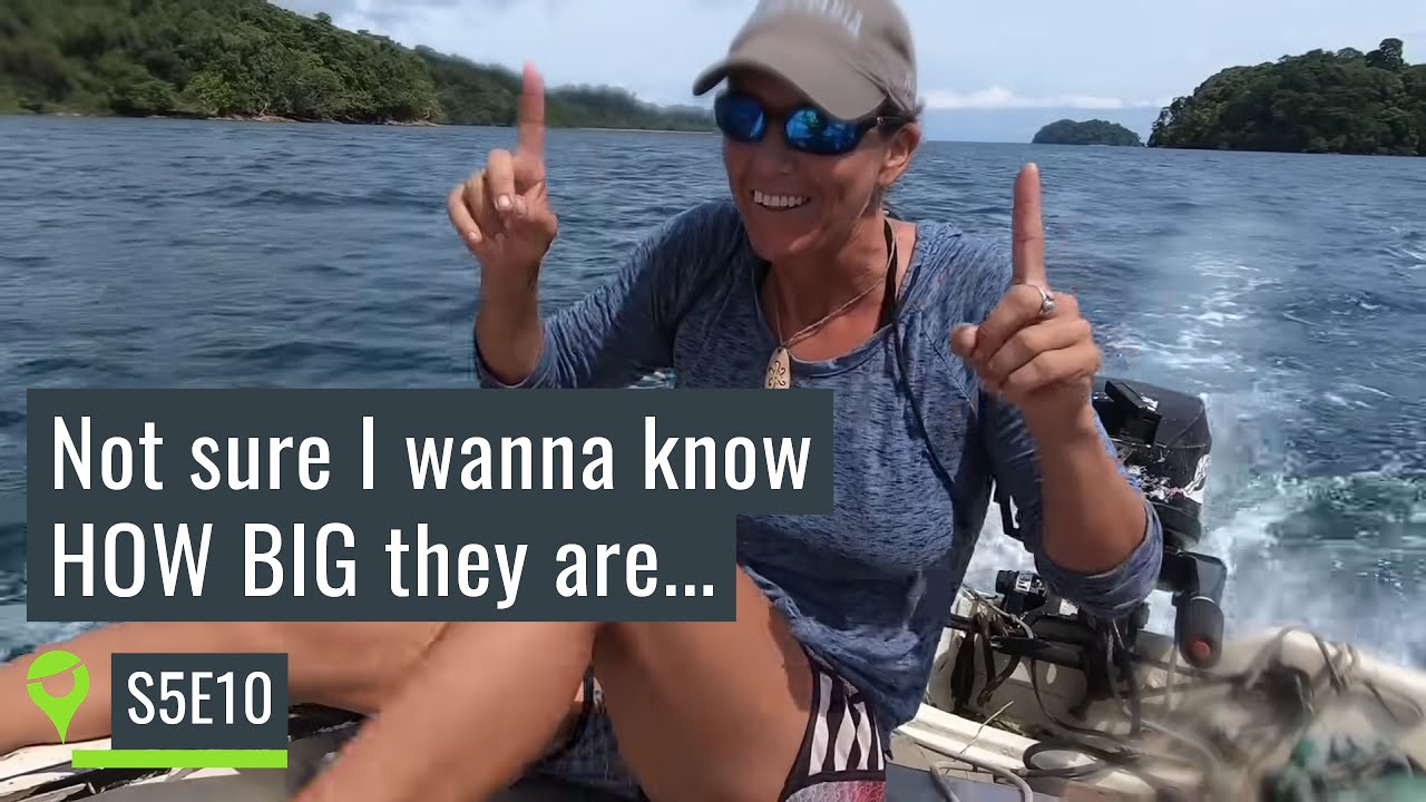 Out looking for crocodilios and battling with taking apart my Windpilot Pacific – UNTIE THE LINES