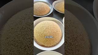 南京农村酒席，1000元22道菜，这菜怎么样？#南京美食#六合美食 #南京 #麦总去哪吃