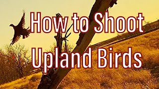 Tips on shooting upland Birds! screenshot 2