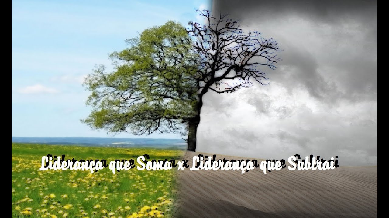 video phone beyonce mp3 Liderança que Soma X Liderança que Subtrai – Pr. Cleyton Maciel