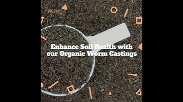 Unleash the Power of Soil Microbes