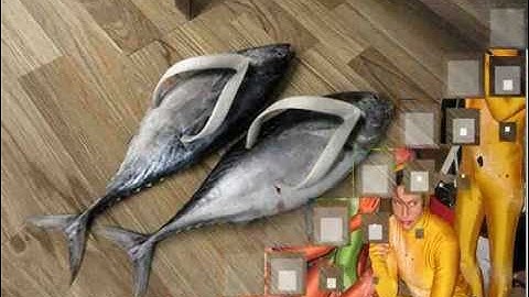 Flash Image Transition- Flash CS3 Image Transition.flv