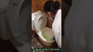 Standard Operating Procedures In Lavatory Cleaning