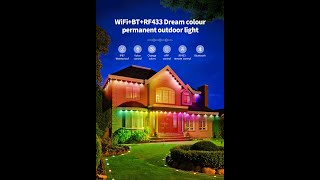 WiFi dual Mode RGBIC eave light screenshot 5