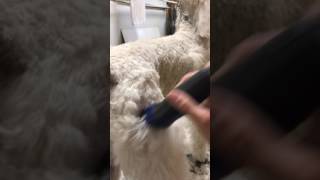 IMG 0440