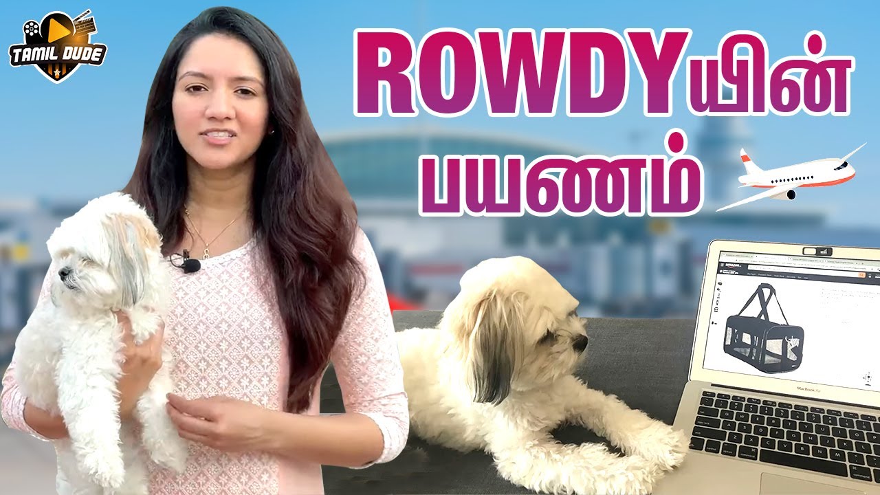 Rowdyயின் பயணம் How to Travel with Pets to India Tamil dude YouTube