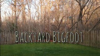 Why Does Bigfoot Knock On Trees 