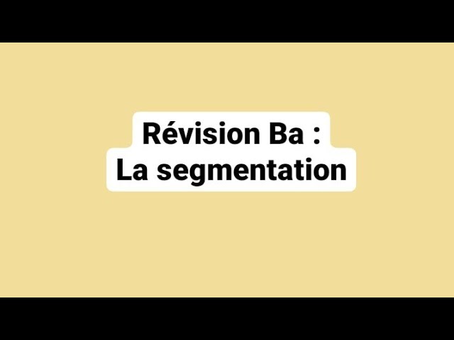 Révision Ba : la segmentation snv l1