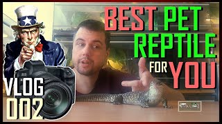 Best Pet Reptile For You - How To Choose Guide Vlog 002