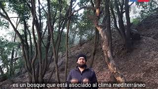 Relatos de Guías - Matías Gajardo Alvarado - Parque Natural Aguas de Ramón