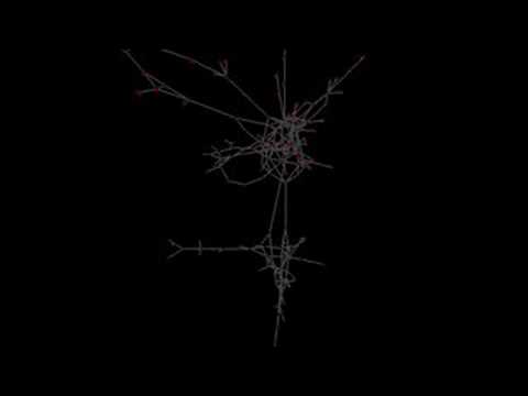 Exploded Network Visualization Technique