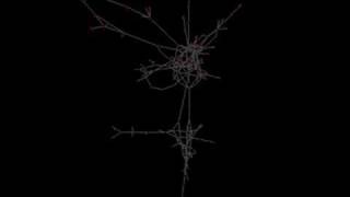 Celebrity Exploded Network Visualization Technique Profile