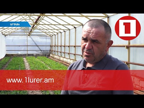 Video: Կորցրած այգի