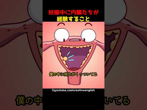 妊娠中に内臓たちが経験すること 